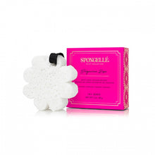 Load image into Gallery viewer, SPONGELLE Boxed Flower