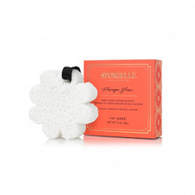 Load image into Gallery viewer, SPONGELLE Boxed Flower