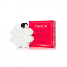 Load image into Gallery viewer, SPONGELLE Boxed Flower