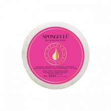 Load image into Gallery viewer, SPONGELLE Spongette