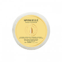 Load image into Gallery viewer, SPONGELLE Spongette