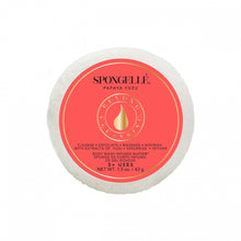 Load image into Gallery viewer, SPONGELLE Spongette